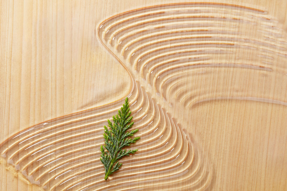 TAT22_AUG_Body_67b_Oil_TXT_SWCH_ALL_0522_MD_7619_FINAL_sRGB